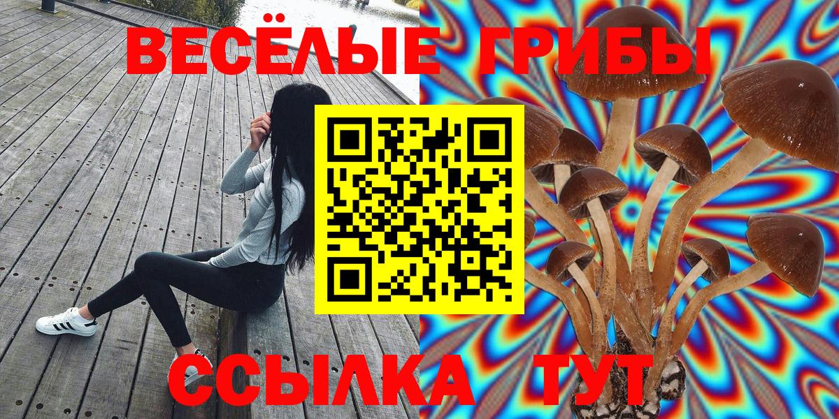 Галлюциногенные грибы мицелий Домодедово